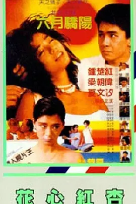 超清HD高清在线观看