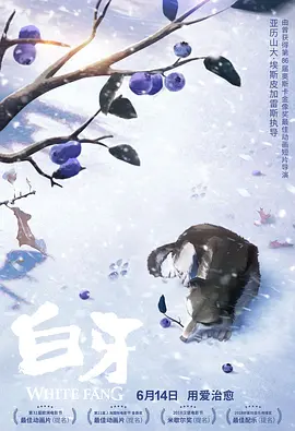 DVD高清完整版